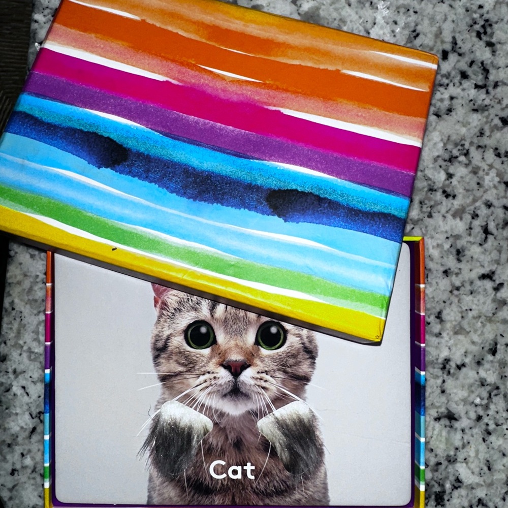 Lovevery texture sensory baby flash cards full stack with box things I see